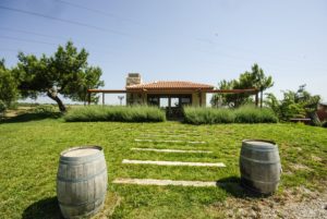 tips for the urla bag yolu surroundings the quirky cork