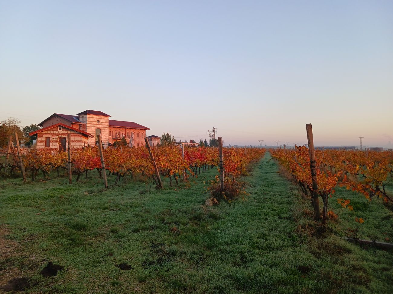 Delving into the Red Wines of Arda - The Quirky Cork